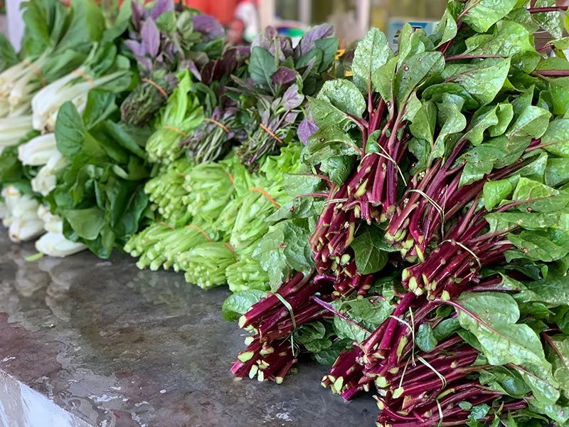 Farm-Promo-Pictures-63