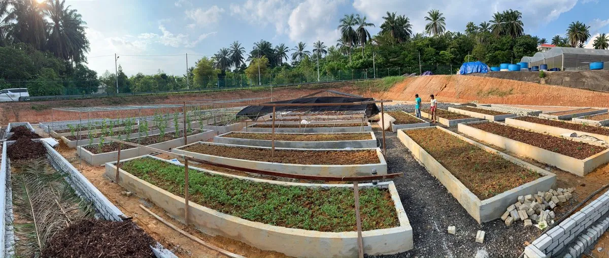 Homegrown-New-Farm-1