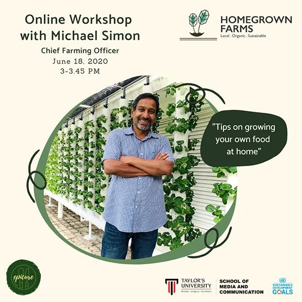 taylors-farm-workshop