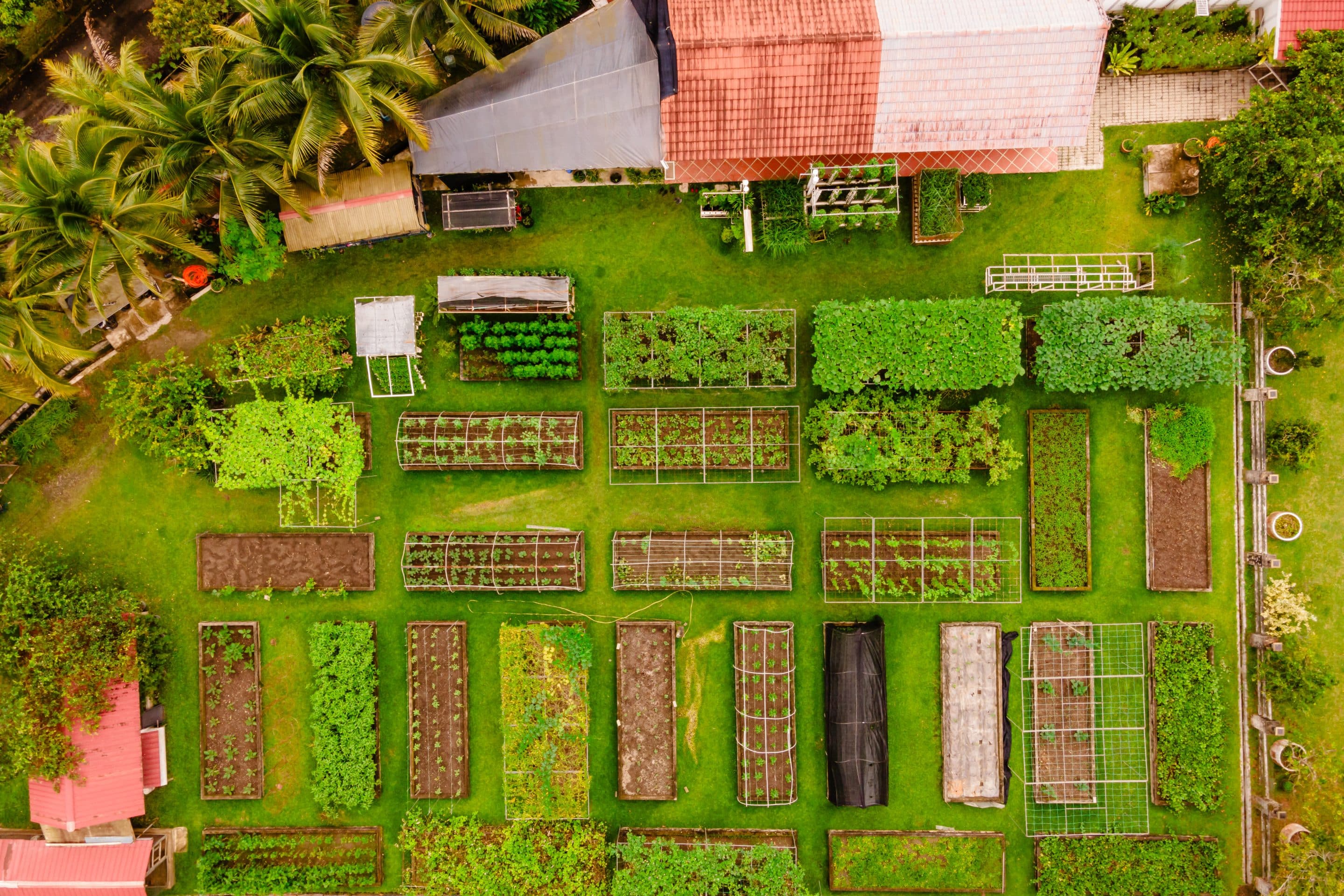 DJI_0416 Organic farm visit
