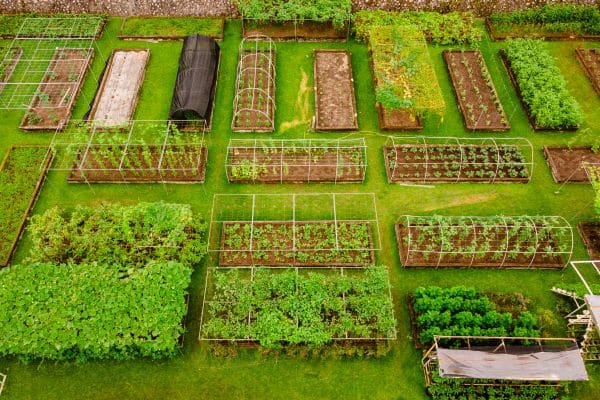 Organic Farm Visit Organic Farm Visit