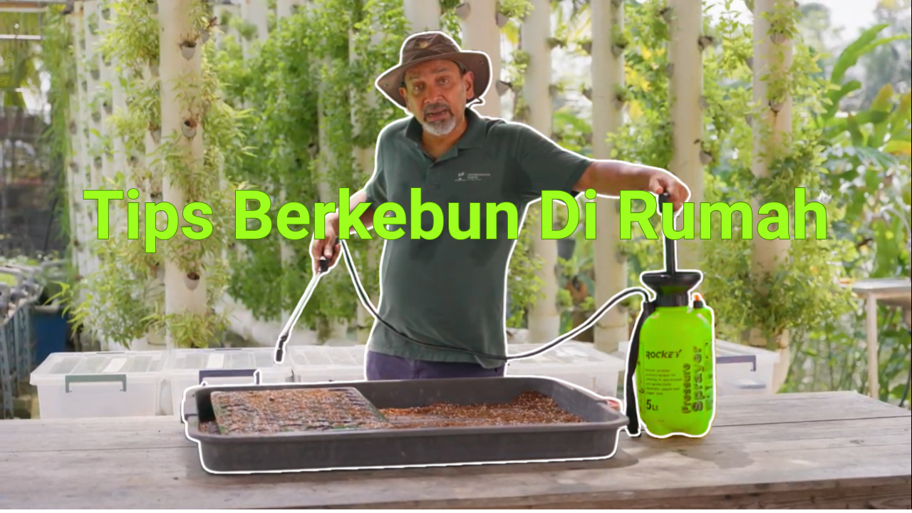 Gardening Tips Tips Berkebun di rumah Gardening Tips Tips Berkebun di rumah