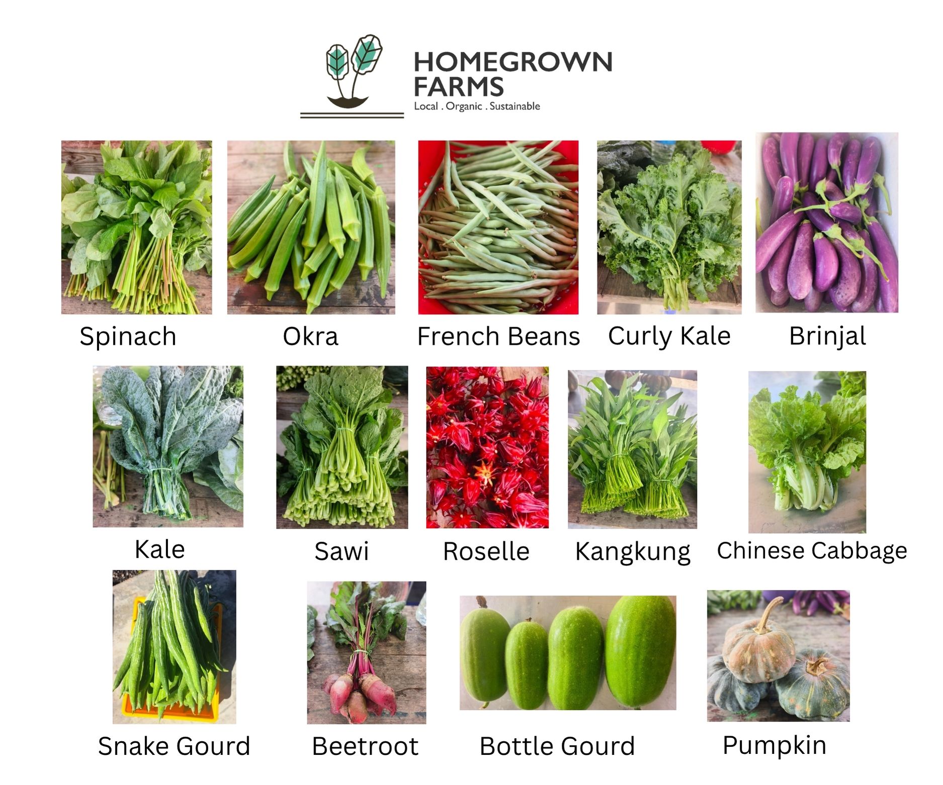 Organic vegetables in Malaysia Organic vegetables in Malaysia